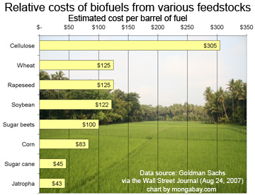 Jatropha Fruit Crop Cost Comparison